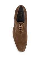 Gunn Suede Oxfords