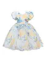 Baby Girl's, Little Girl's & Chablis Dress