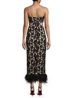 Sarah Lace & Feather Midi-Dress