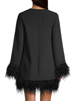 Marullo Long-Sleeve Feather Minidress