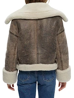 Shearling Lamb Jacket