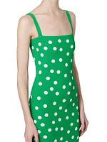 Polka Dot Knit Column Midi-Dress