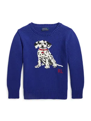 Little Kid's & Dalmatian Crewneck Sweater