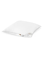 Nobilis Comforter & Pillow Collection