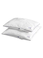 Milk Dreams Comforter & Pillow Collection