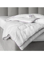 Milk Dreams Comforter & Pillow Collection