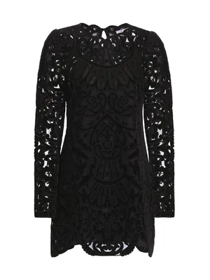 Dana Embroidered Velvet Dress