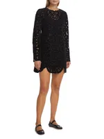 Dana Embroidered Velvet Dress