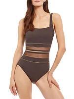 Onyx Mesh-Paneled One-Piece Swimsuit