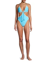 Raina Cut-Out One-Piece Swimsuit