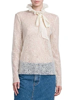 Sheer Lace Long-Sleeve Blouse