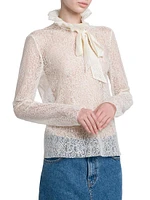 Sheer Lace Long-Sleeve Blouse