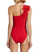 Tess One-Shoulder One-Piece Swimsuit