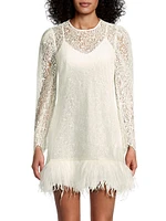 Joyce Feather-Embellished Lace Minidress