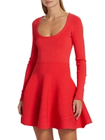 Lisha Knit Fit & Flare Minidress