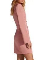 Audrey Satin Long-Sleeve Minidress