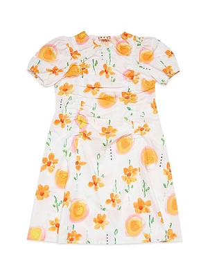 Little Girl's & Floral Poplin Dress