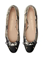 Python-Print Bow Flats