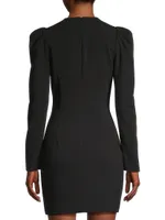 Hadley Long-Sleeve Minidress