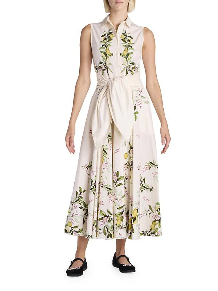 Floral Sleeveless Cotton Fit & Flare Maxi Dress