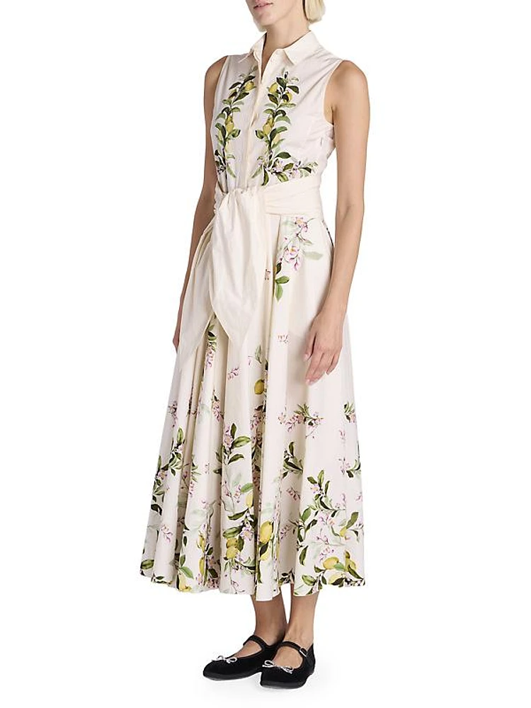 Floral Sleeveless Cotton Fit & Flare Maxi Dress