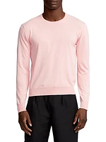 Cotton Crewneck Long-Sleeve Sweater