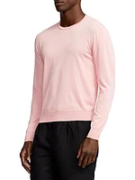 Cotton Crewneck Long-Sleeve Sweater