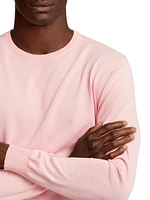 Cotton Crewneck Long-Sleeve Sweater