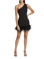 Tafia Feather-Trim One-Shoulder Minidress