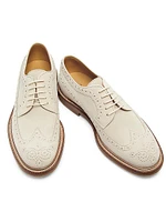 Suede Brogue Shoes