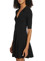 Patricia Ribbed Polo Minidress