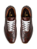 Duccio Leather Sneakers