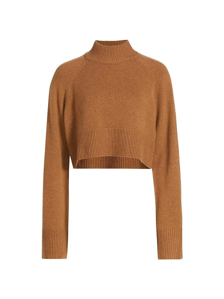 Garrett Cashmere Cropped Turtleneck Sweater