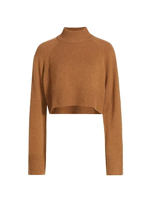 Garrett Cashmere Cropped Turtleneck Sweater