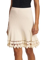 Danica Rib-Knit Miniskirt