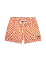 Little Boy's & Boy's Striped Swim Trunks