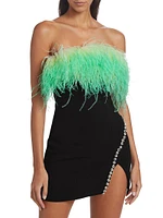 Ombré Feather Diamante Minidress