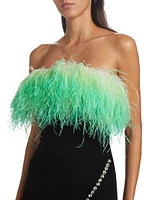 Ombré Feather Diamante Minidress