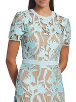 Short-Sleeve Lace Midi-Dress