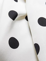 Margot Polka Dot Silk Minidress