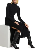 Tamara Mock Turtleneck Maxi Dress