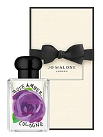 Rose Amber Cologne