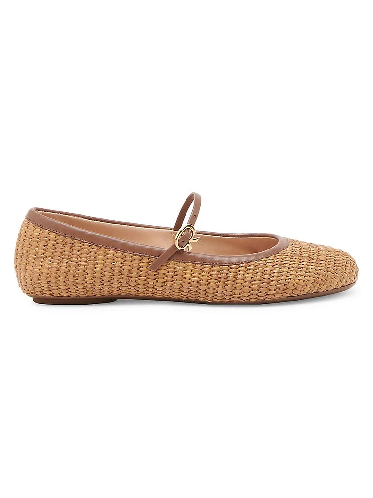 Carla Ballerina Flats