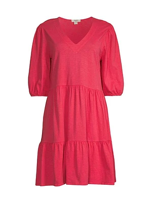 Shirred Seam V-Neck Dress