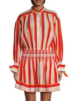 Striped Mini Shirtdress