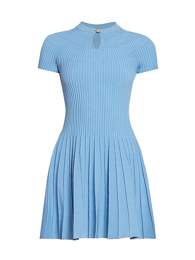 Pleated Knit Flared Minidress