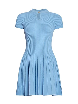 Pleated Knit Flared Minidress