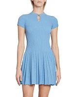 Pleated Knit Flared Minidress