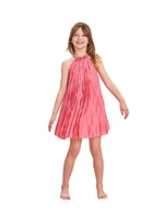 Little Girl's & Marla Pleated Dress