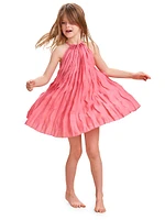 Little Girl's & Marla Pleated Dress